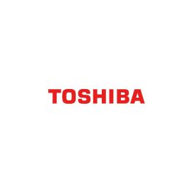 Toshiba Canvio Flex 2TB Warm Silver