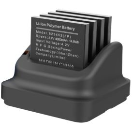 PRO M Battery Charging Station