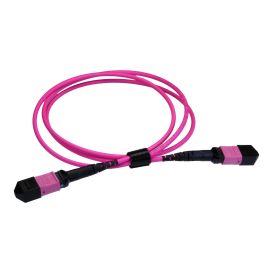 Cablenet 5m OM4 BASE-12 MPO(F) toMPO(F) 12F Erika Violet Trunk CPR Cable Meth B