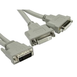 CMS Cables DVI-D M to 2x F Splitter Cable
